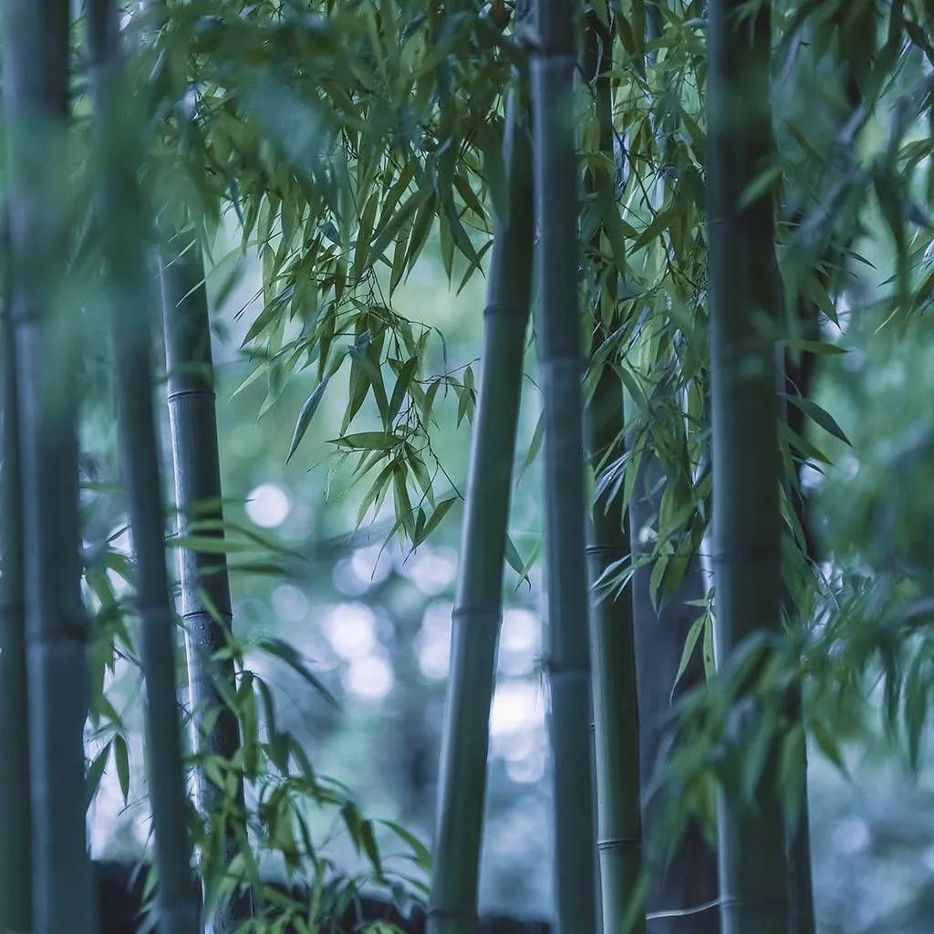 质感•原生石系列 | 1200×1800mm密缝连纹，开创无限世界(图19)
